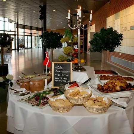 Radisson Papirfabrikken מלון 4*
